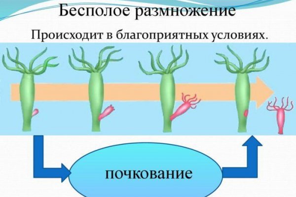 Kraken ссылка 2krnk biz